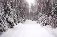 winter3a